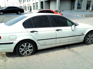 Img337152709.jpg
