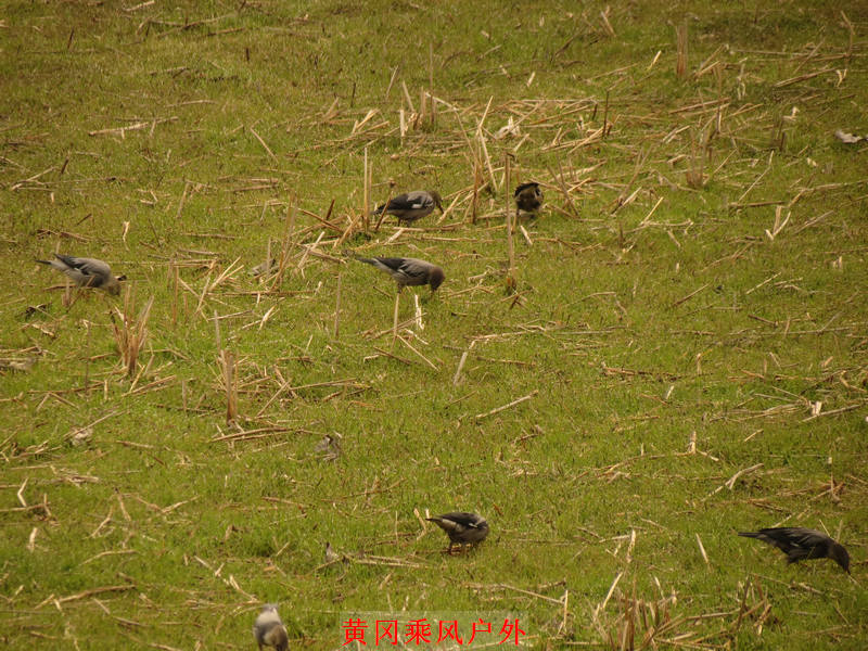 IMG_2851.jpg