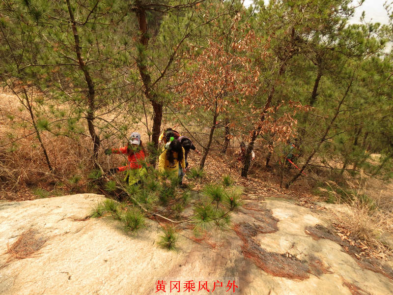 IMG_2937.jpg