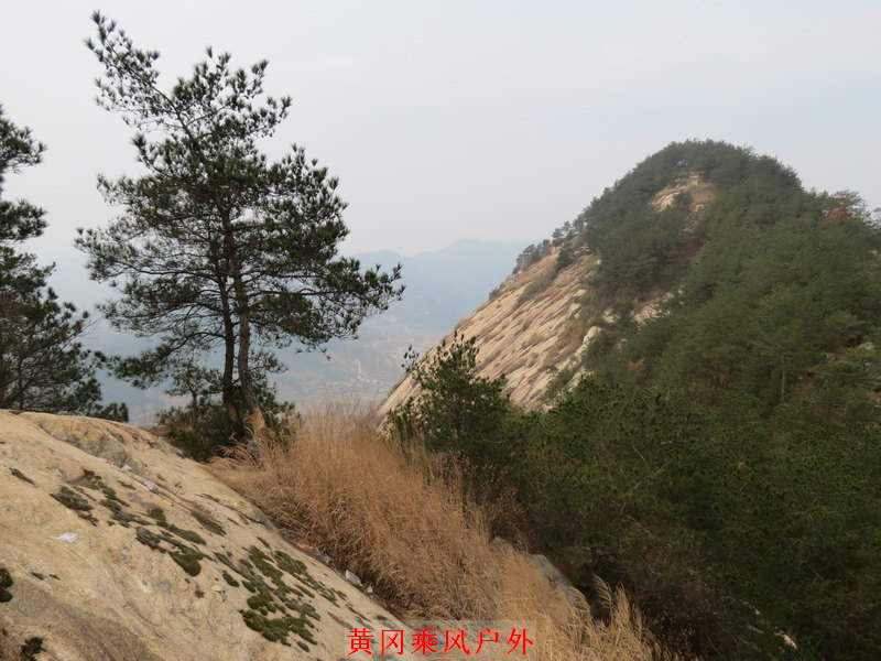 IMG_3017.jpg