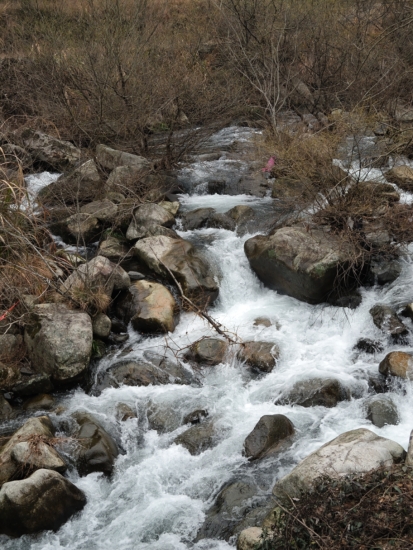 DSCN0818.JPG