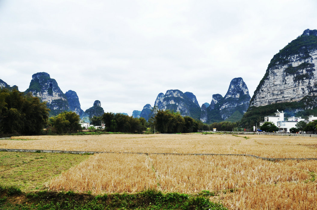 DSC_0245.JPG