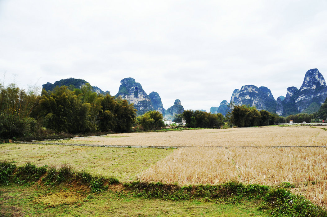 DSC_0246.JPG