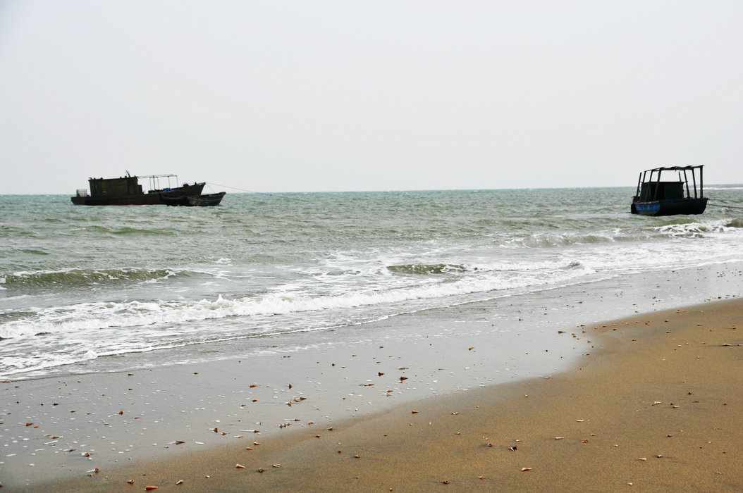 DSC_0335.JPG