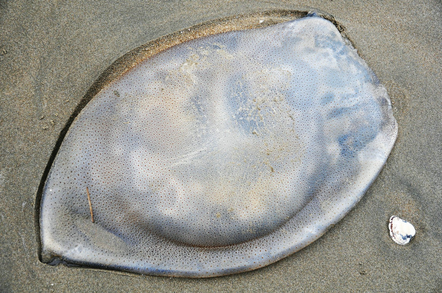 DSC_0356.JPG