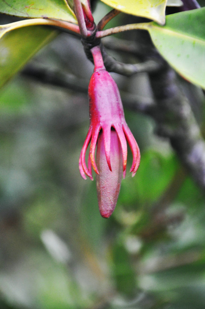 DSC_0427.JPG
