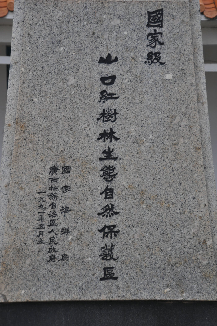 DSC_0442.JPG