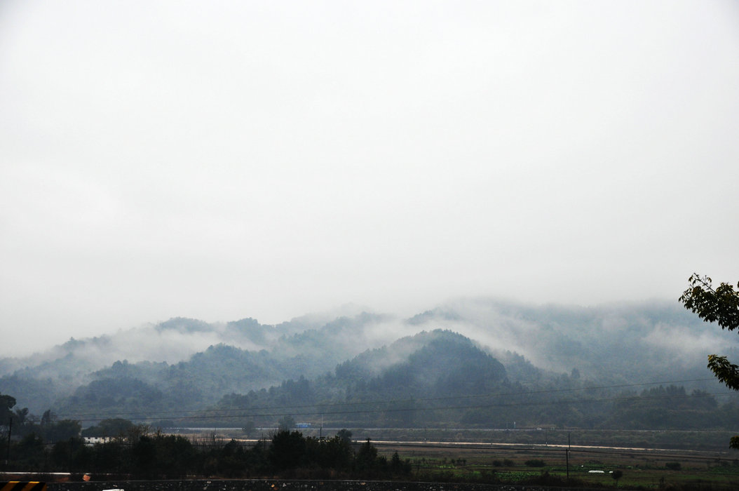 DSC_0692.JPG