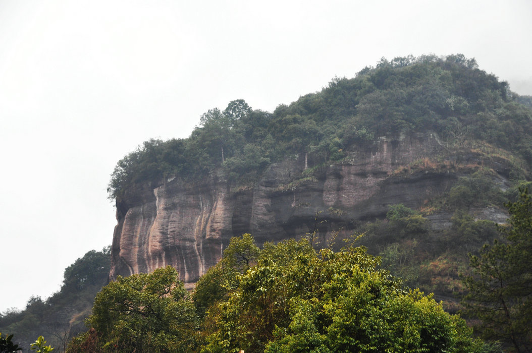 DSC_0699.JPG
