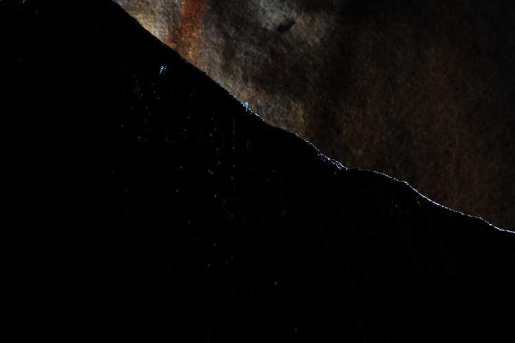 ɽ 544.jpg