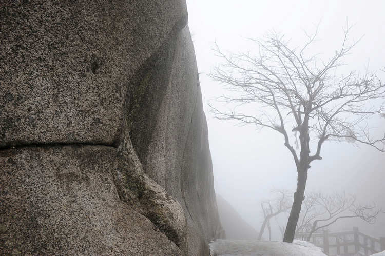 ɽ 744.jpg