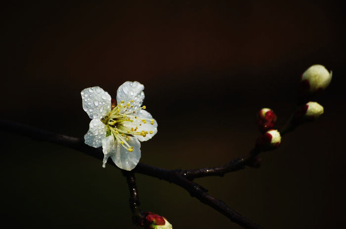 IMGP6570.jpg