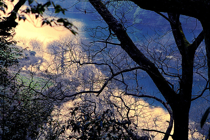 nEO_IMG__MG_0158.jpg