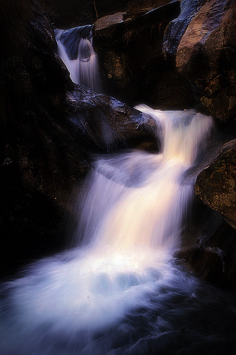 nEO_IMG__MG_0179.jpg