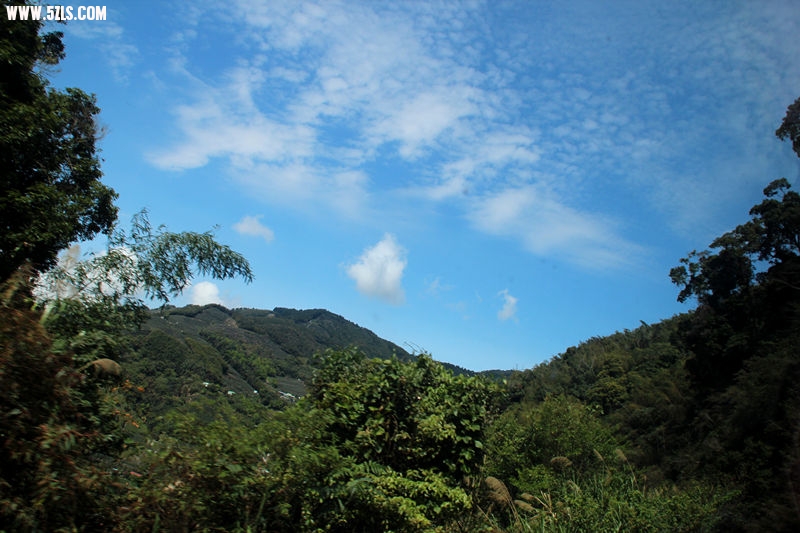 img_6608_.jpg