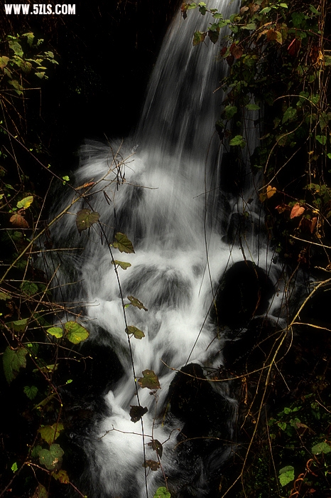 nEO_IMG__MG_0452.jpg