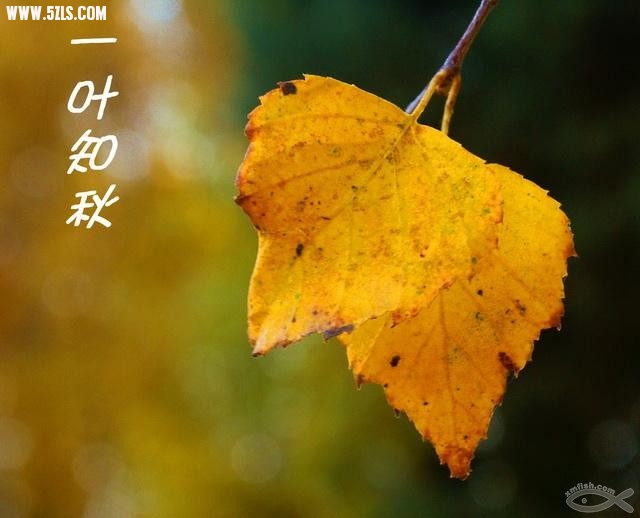 C5E72DDB-5992-1083-9A96A4CEF229E51C_600.jpg