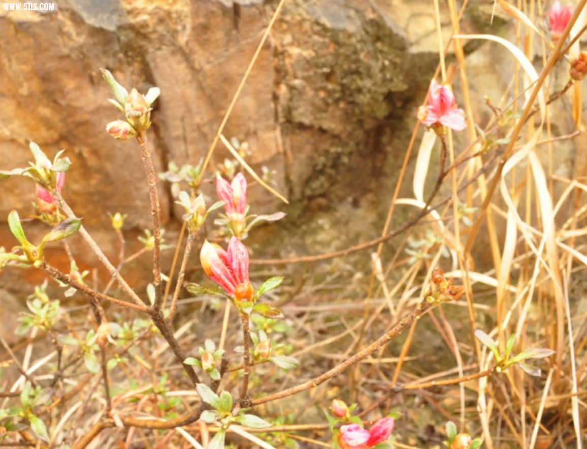 2012-03-19_130433.jpg