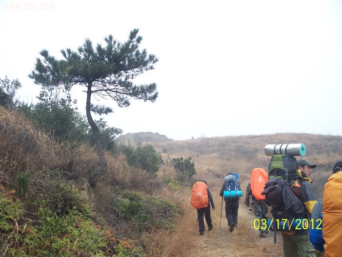 52_377369_dbffec01a974406.jpg