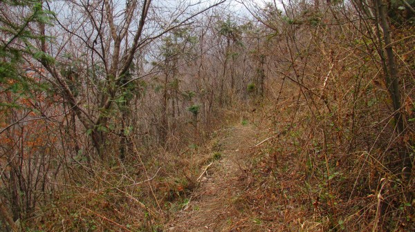 conew_img_4049.jpg