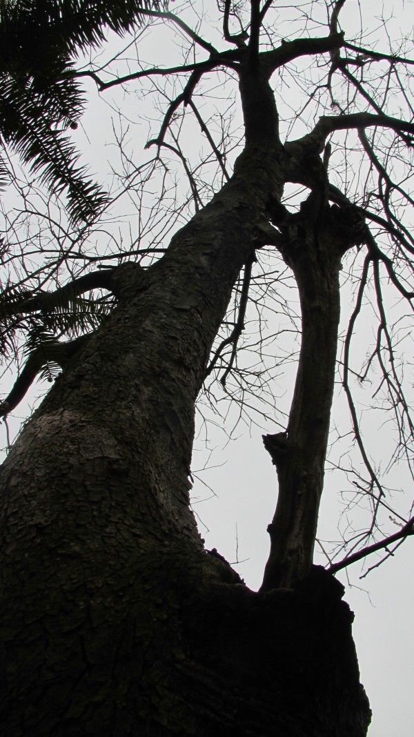 conew_img_4050.jpg