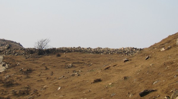 conew_img_4127.jpg