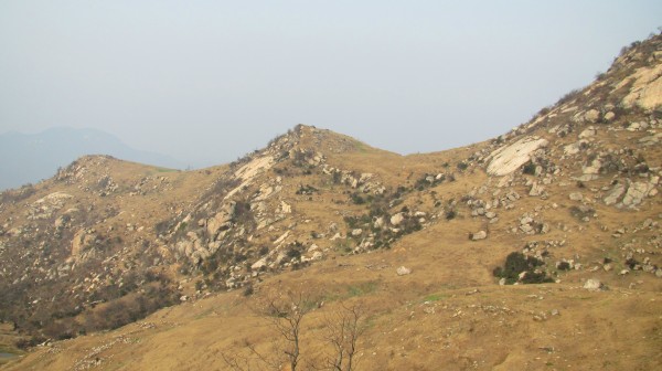 conew_img_4135.jpg