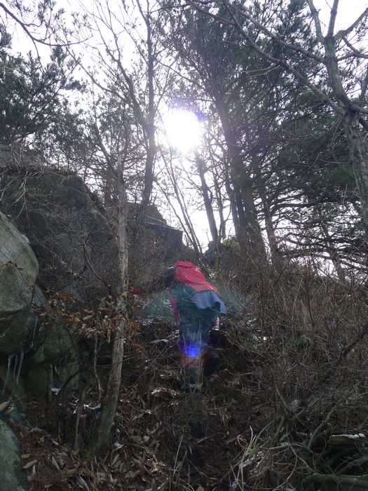 20123150532527826.jpg