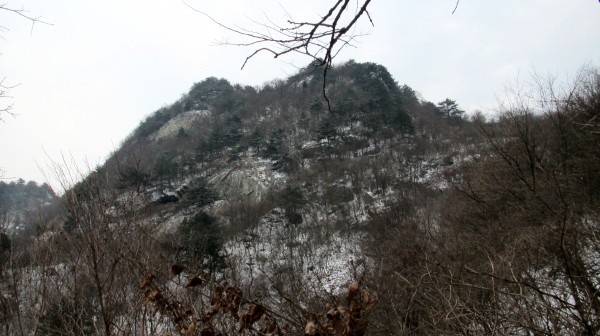 conew_img_3731.jpg
