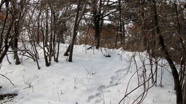 conew_img_3862.jpg
