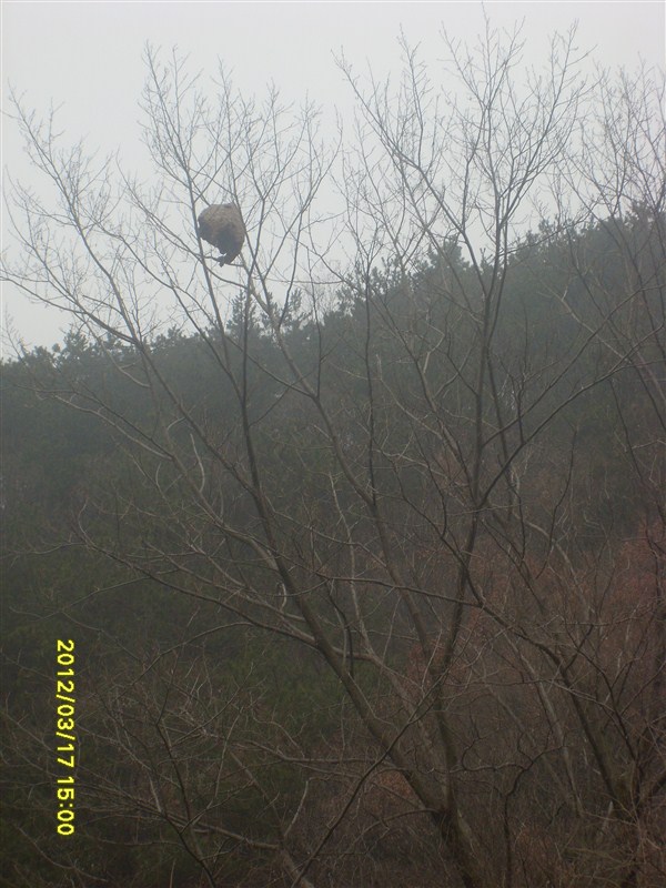 psbCA5F96GN.jpg