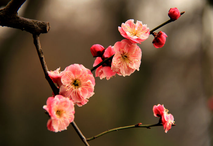 nEO_IMG_÷2012 037.jpg
