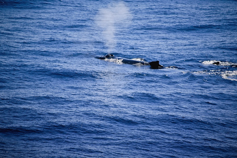 20111130137977977.jpg