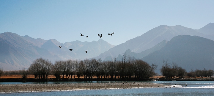 200932162959.jpg