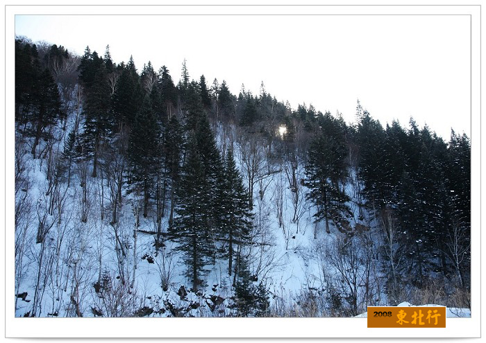 200812215238.jpg