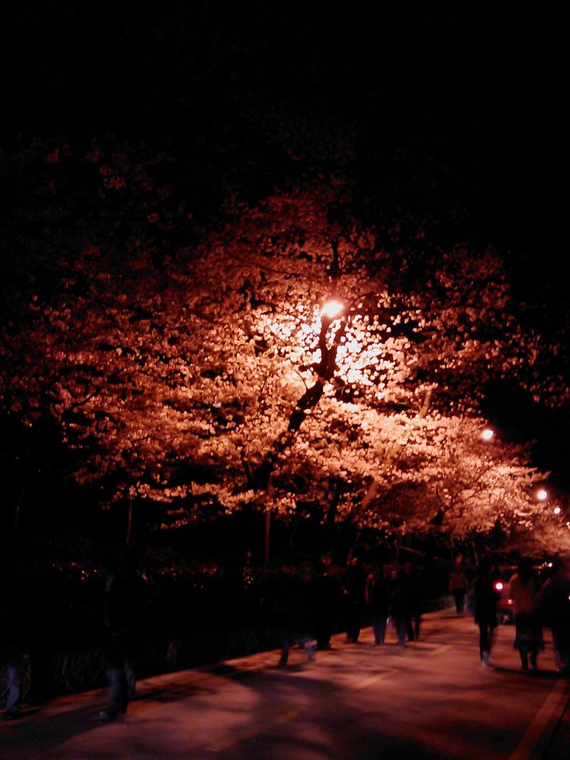 IMAG0174.jpg