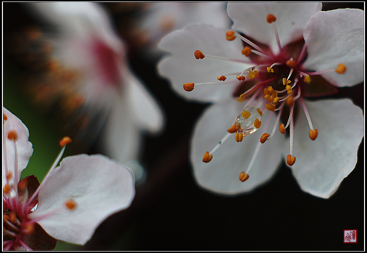 DSC01425ʱ.jpg