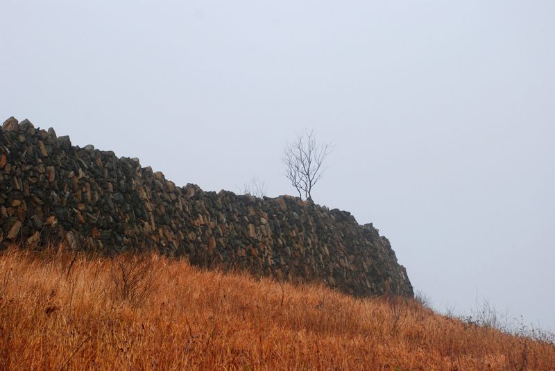 20123622123279217.jpg