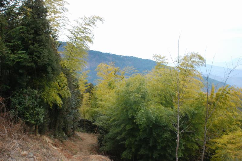 201232121173272572.jpg
