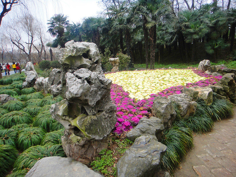 DSC00737_.jpg