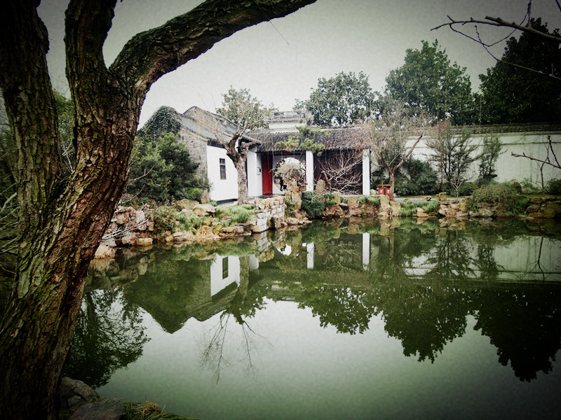DSC01231_.jpg
