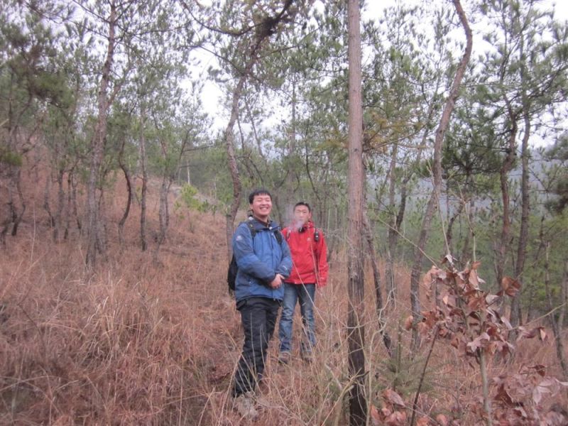 http_imgloadCAFI9F53.jpg