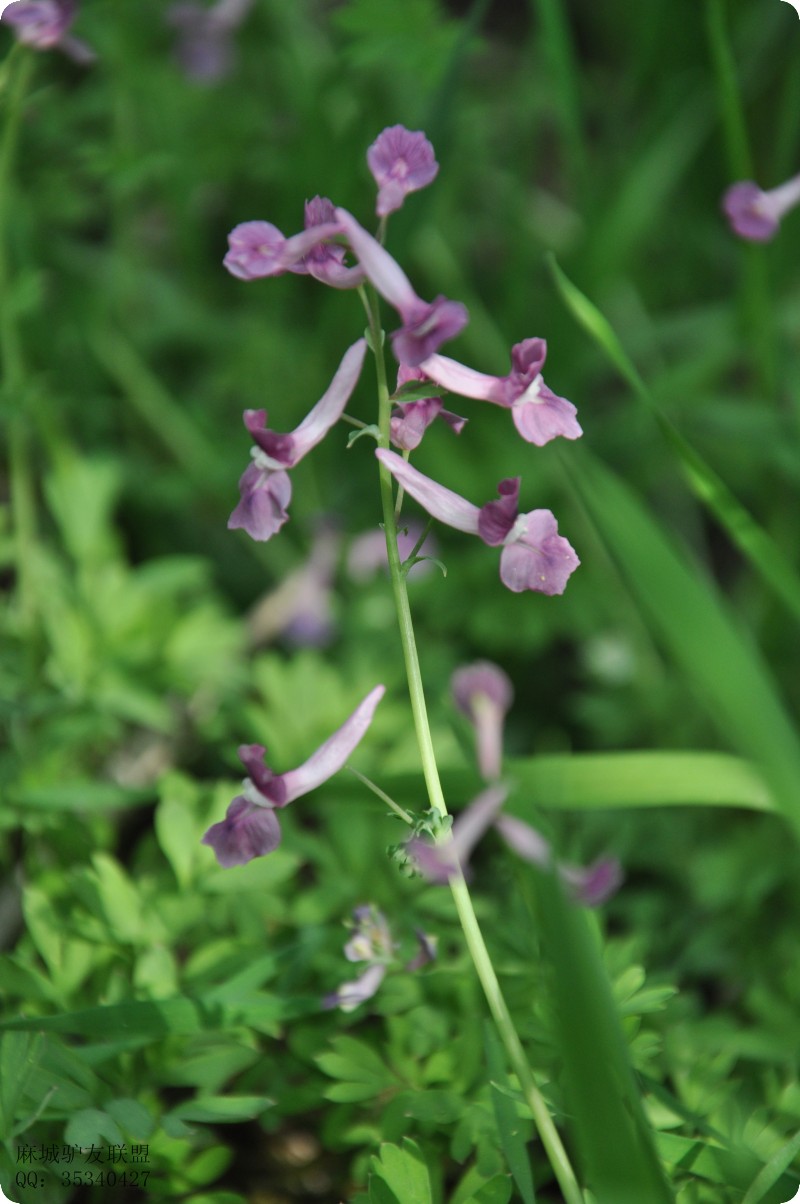 conew_dsc_0022.jpg