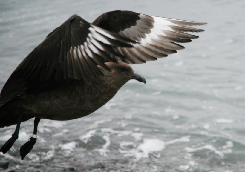 2011221624967719.jpg