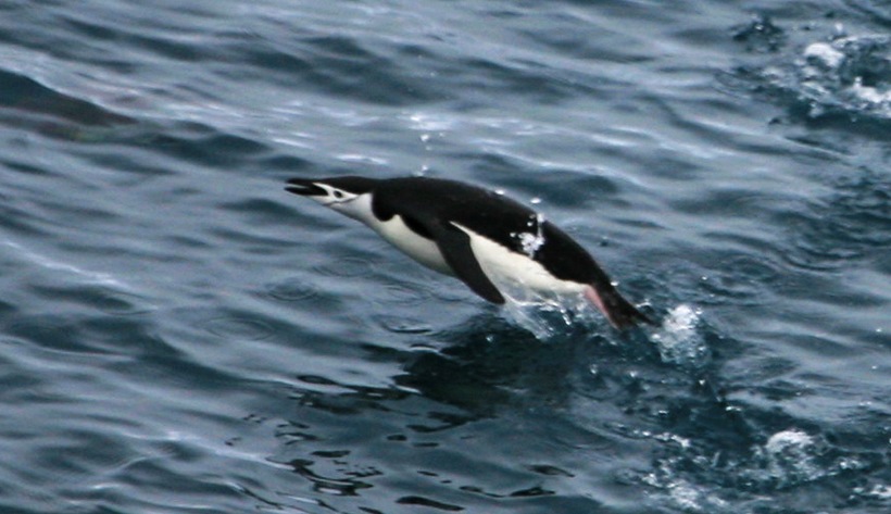 2011251316564539.jpg
