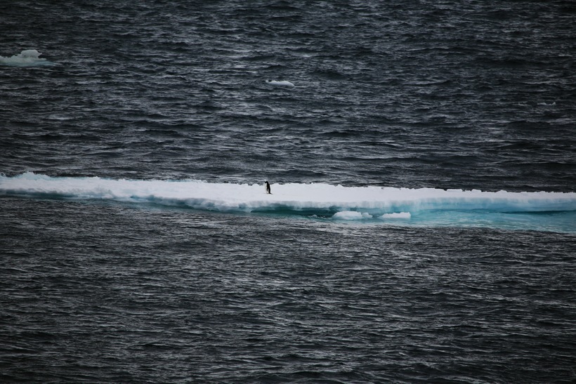 2011213084636412.jpg