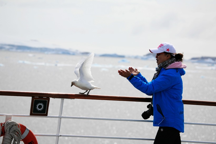 201121314816215.jpg