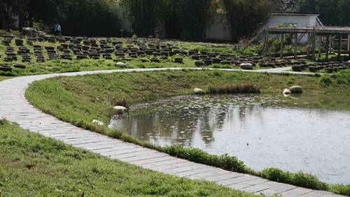 ӣ 453_.jpg