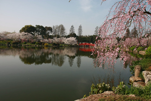 ӣ 316_.jpg