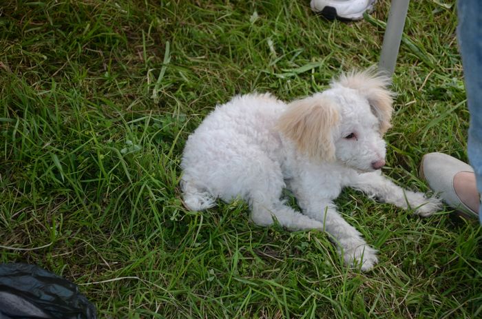 nEO_IMG_DSC_0818.jpg